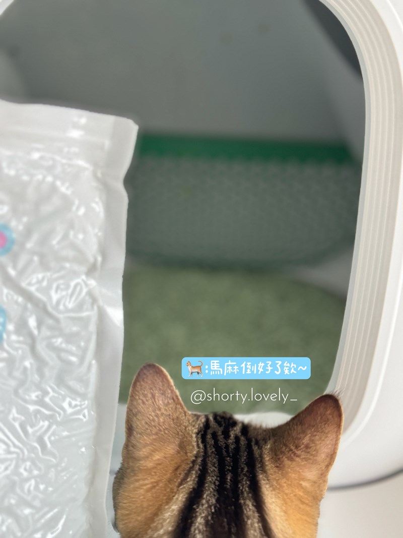 女人知己試用大隊,口碑行銷,部落客行銷,PurreLand 倍淨豆腐貓砂,好市多購買,COSTCO購買,豆腐貓砂,PurreLand倍淨,低粉塵,易清理,可沖馬桶,提供絕佳的除臭與凝結力,豆腐貓砂評價,貓砂評價,使用心得,貓砂分享,好用,原味,綠茶,豆腐砂,水量需完全覆蓋貓砂,水量需貓砂的2~3倍以上,豆腐砂評價,高CP值,划算